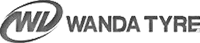 icon-wanda-tyre